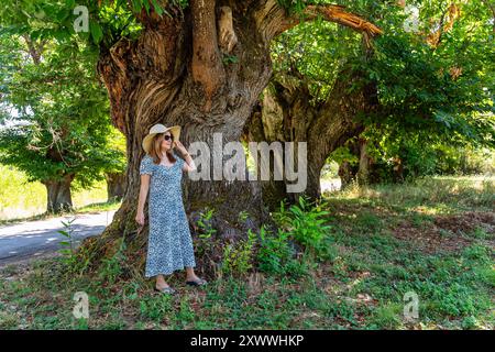 Femme blanche en robe et chapeau dans un champ où il y a des arbres très vieux et énormes. Banque D'Images