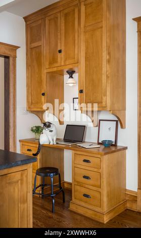 Un chat est assis sur un bureau dans un coin de cuisine avec petit coin bureau Banque D'Images