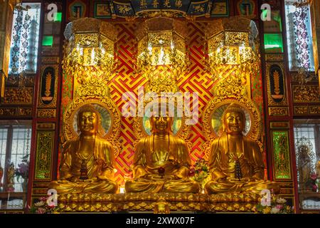 Trikaya au Bouddha Wat Dibayavari Vihara (Kham Low Yi ou Temple Green Dragon Temple Holy Water), temple chinois vietnamien, Bangkok, Thaïlande Banque D'Images