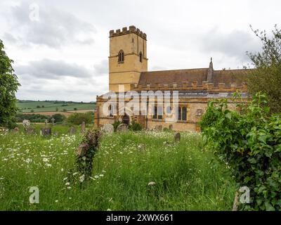 Cimetière re-sauvage en été, avec de longues herbes et des pierres tombales ; église de St Michael dans le village de Church Stowe, Northamptonshire, Royaume-Uni Banque D'Images