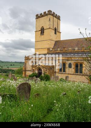 Cimetière re-sauvage en été, avec de longues herbes et des pierres tombales ; église de St Michael dans le village de Church Stowe, Northamptonshire, Royaume-Uni Banque D'Images