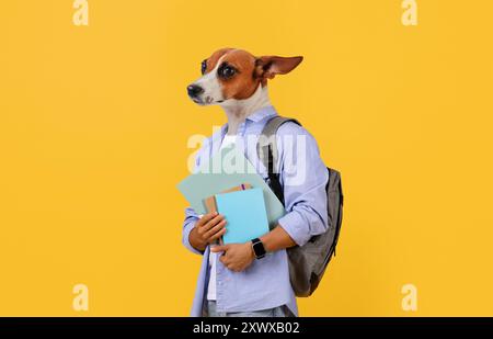 Chien habillé comme étudiant tenant des livres devant jaune Banque D'Images