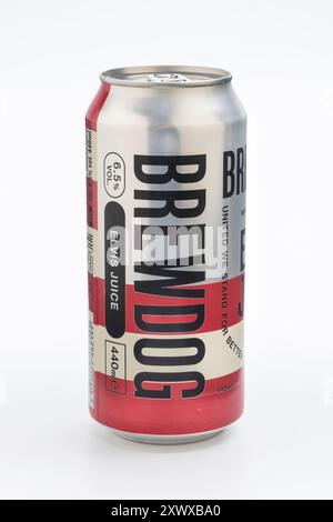 Une canette de bière artisanale IPA infusée au jus de pamplemousse BrewDog Elvis. Banque D'Images