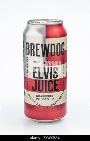 Une canette de bière artisanale IPA infusée au jus de pamplemousse BrewDog Elvis. Banque D'Images