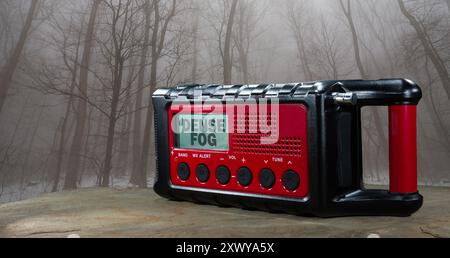Écran LCD sur une radio météo montrant l'avertissement de brouillard dense émis par le service météorologique avec des arbres dans une forêt épaisse enveloppée de brouillard. Banque D'Images