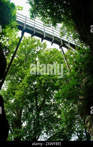 Hawkstone Follies Park, Shropshire, Angleterre - Swiss Bridge Banque D'Images