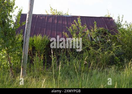 Route de campagne sinueuse dans le sud-est de la Géorgie États-Unis, avec un vieux bâtiment de ferme délabré dans un paddock avec de vieux pneus de tracteur envahi d'herbe! Banque D'Images