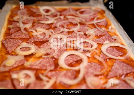 Pizza avec salami, oignon et fromage sur une plaque à pâtisserie Banque D'Images