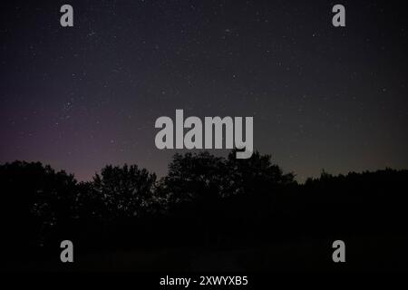 DATE D'ENREGISTREMENT NON INDIQUÉE Neukirch/Lausitz - Perseiden 2024 : Sternschnuppen wieder am Himmel zu sehen 12.08.2024 Neukirch/Lausitz, Kleebusch Fotograf : LausitzNews.de Wer im August in den nordöstlichen Nachthimmel schaut, Hat BEI klarem Wetter gute Chancen, die Perseiden zu bestaunen. Seinen Höhepunkt erreicht der Sternschnuppenregen in der Nacht auf den 13. Août. Zwischen 22 Uhr abends und vier Uhr morgens konnten dann vor allem in ländlichen Regionen etliche Sternschnuppen zu gesehen werden. Zu ihrem maximum bescheren uns die Perseiden bis zu 100 Sternschnuppen in der Stunde. Mit 60 Kilometern Banque D'Images