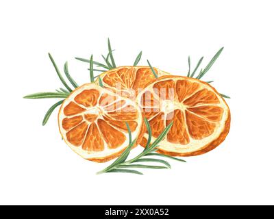 Tranches d'agrumes séchées avec des brindilles de romarin pile illustration d'aquarelle. Morceaux orange et feuilles vertes en tas pour la cuisson de Noël et les boissons chaudes réchauffant. Banque D'Images