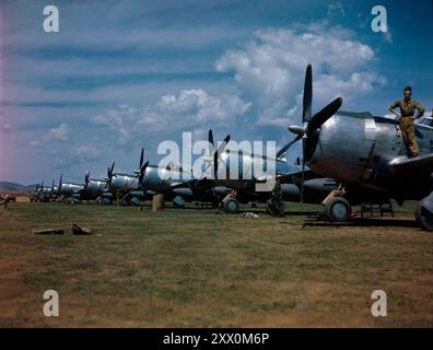 Les P-47 de la République de la guerre mondiale sur la ligne. CA. 1942. Le Republic P-47 Thunderbolt est un avion de chasse de la seconde Guerre mondiale produit par la société américaine Republic Aviation de 1941 à 1945. C'était un chasseur à haute altitude réussi, et il a également servi de premier chasseur-bombardier américain dans le rôle d'attaque au sol. Son armement principal était huit mitrailleuses de calibre 50, et il pouvait transporter des roquettes de 5 pouces ou une charge de bombe de 2 500 livres (1 100 kg). Lorsqu'il est complètement chargé, le P-47 pèse jusqu'à 8 tonnes, ce qui en fait l'un des chasseurs les plus lourds de la guerre. Banque D'Images