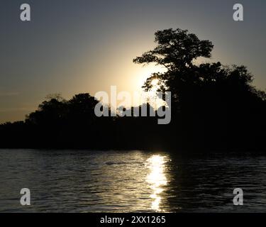 Coucher de soleil sur la rivière Cuiaba (Pantanal, Brésil) Banque D'Images