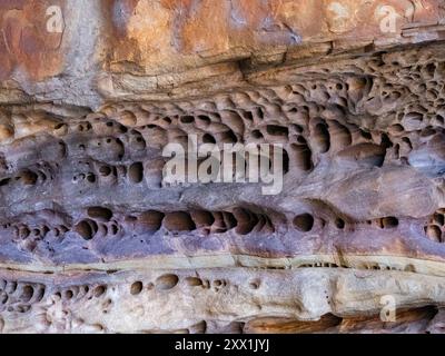 Exemples de Tafoni créés dans la couche de grès de Warton, King George River, Kimberley, Australie occidentale, Australie, Pacifique Banque D'Images