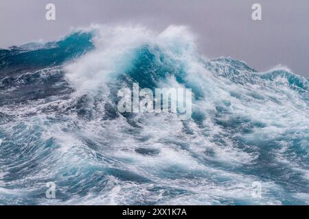 Mers et vagues énormes dans une tempête à l'échelle de Beaufort 10 dans les mers entre les îles Falkland et l'Amérique du Sud, Amérique du Sud Banque D'Images