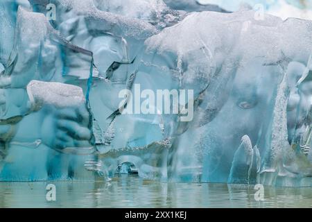 Détail de l'iceberg glaciaire provenant de la glace vêlée au large du glacier South Sawyer à Tracy Arm, dans le sud-est de l'Alaska, dans l'océan Pacifique, aux États-Unis d'Amérique Banque D'Images