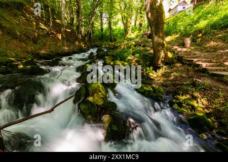 Canyon de la rivière Tara près du parc national de Durmitor, Monténégro, Europe Banque D'Images
