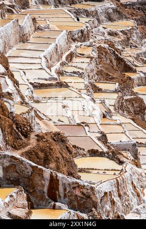 Vue en haut angle des terrasses de marais salants de Maras, Salinas de Maras, région de Cuzco, Pérou, Amérique du Sud Banque D'Images