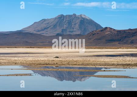 Volcan Ubinas reflété dans une piscine dans les marais salants, réserve nationale de Salinas y Aguada Blanca, province d'Arequipa, région d'Arequipa, Pérou, Amérique du Sud Banque D'Images