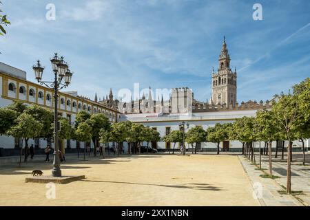 Détail du centre historique (Casco Antiguo) de Séville, la plus grande ville d'Andalousie, avec la Giralda en arrière-plan, Séville, Andalousie, Espagne Banque D'Images