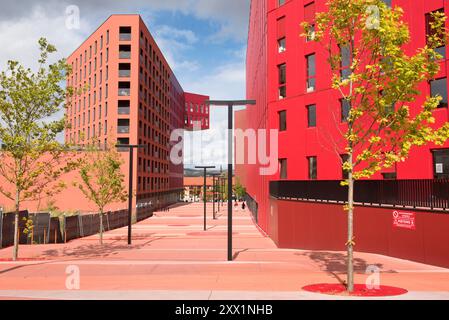 Ilot poste-Weiss, architectes ECDM, quartier Chateaucreux, Saint-Etienne, département de la Loire, région Auvergne-Rhône-Alpes, France, Europe Banque D'Images