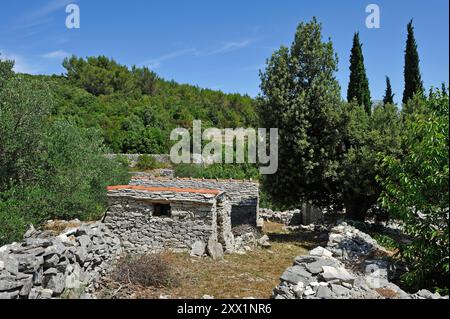 Maison en pierre sèche dans la région autour de Zrnovo, île de Korcula, Croatie, Europe du Sud-est Banque D'Images