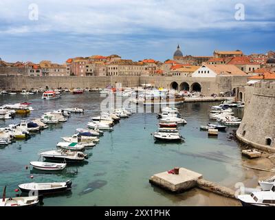 Port de la vieille ville, site du patrimoine mondial de l'UNESCO, Dubrovnik, Croatie, Europe Banque D'Images