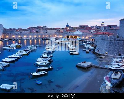 Port de la vieille ville, site du patrimoine mondial de l'UNESCO, Dubrovnik, Croatie, Europe Banque D'Images