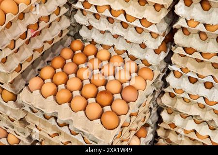 Beaucoup d'oeufs crus frais jaunes dans des plateaux en carton sont en stock dans le magasin Banque D'Images