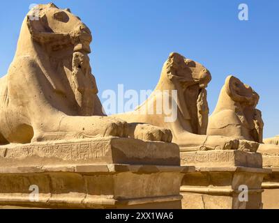 Embarquez pour un voyage magique à travers l'avenue des Sphinx de Karnak, une ancienne artère égyptienne ornée de mystérieuses statues. Banque D'Images