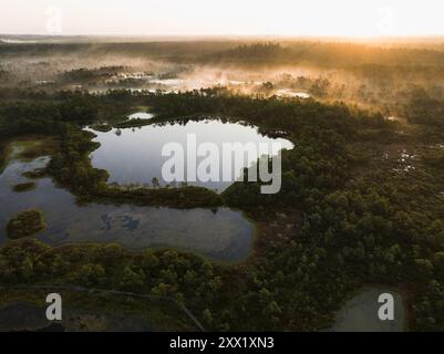 Nature de l'Estonie, marais de Seli, tourbière au lever du soleil, brouillard des lacs, vue photo depuis un drone. Banque D'Images