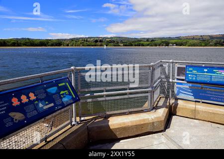 Point de vue sur le réservoir de Llanishen - parc rural « Lisvane & Llanishen RESERVOIRS », Cardiff, pays de Galles du Sud, Royaume-Uni. Prise en août 2024 Banque D'Images