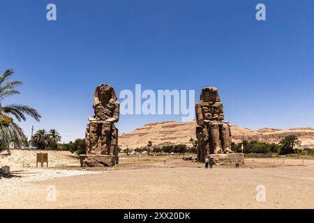 Colosses de Memnon, statues massives en pierre d'Amenhotep III, Louxor, Egypte, Afrique du Nord, Afrique Banque D'Images