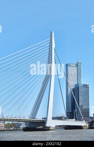Rotterdam, pays-Bas - 10 avril 2024 : vue du pont Erasmus, Erasmusbrug Banque D'Images
