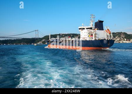 Un grand nombre de cargos traversent chaque jour le détroit d'Istanbul. Le détroit d'Istanbul est un endroit avec le transport de marchandises très lourd. Banque D'Images