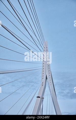 Rotterdam, pays-Bas - 10 avril 2024 : vue du pont Erasmus, Erasmusbrug Banque D'Images