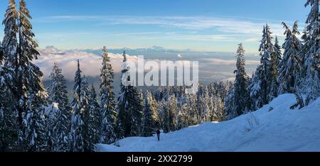 Vue arrière d'un homme âgé faisant de la raquette dans un paysage montagneux entre Mt Dam et Mt Grouse, North Vancouver, Colombie-Britannique, Canada Banque D'Images