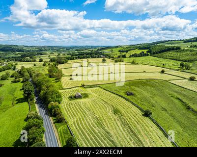 Fermes et champs au-dessus du village de Bainbridge à partir d'un drone, Leyburn, North Yorkshire, Angleterre Banque D'Images