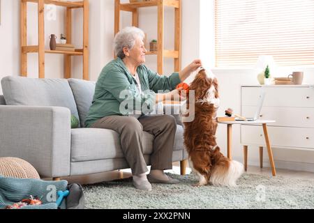 Femme senior jouant avec le chien mignon cavalier King Charles spaniel à la maison Banque D'Images