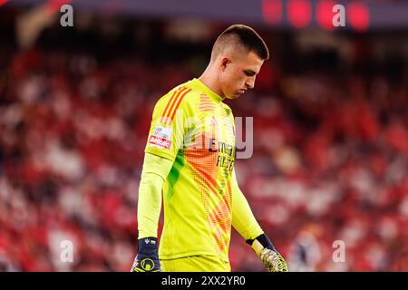 Lisbonne, Portugal. 17 août 2024. Anatoliy Trubin (SL Benfica) vu en action lors du match de Liga Portugal entre les équipes SL Benfica et Casa Pia AC à Estadio Da Luz SL Benfica remporté 3-0 (photo de Maciej Rogowski/SOPA images/Sipa USA) crédit : Sipa USA/Alamy Live News Banque D'Images