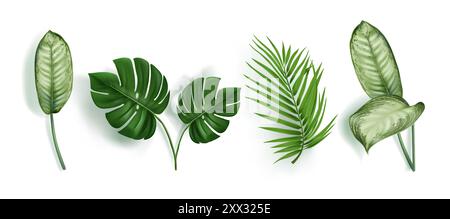 Feuilles tropicales vertes pour la conception de vacances d'été et de plage. Palmier, monstera et feuillage dieffenbachia. Ensemble réaliste d'illustration vectorielle 3d d'éléments botaniques de plantes forestières exotiques de la jungle. Illustration de Vecteur