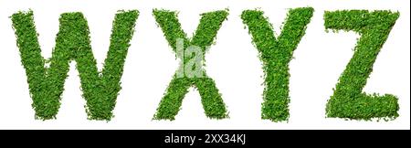 Les lettres W, X, y et Z du mot sont en herbe verte Banque D'Images