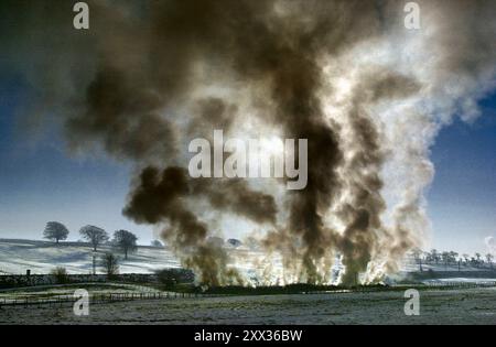 Photo du dossier datée du 04/03/01 d'un incendie allumé dans la fosse en feu de la ferme Netherplace dans le centre de Lockerbie Scotland - la première ferme en Écosse à être touchée par l'éclosion de fièvre aphteuse. Un petit nombre de foyers de fièvre aphteuse en Irlande du Nord ont submergé les services vétérinaires en Irlande du Nord et ont nécessité un soutien militaire et le détachement massif de travailleurs dans l'ensemble du secteur public. Date d'émission : jeudi 22 août 2024. Banque D'Images