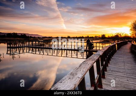 Allées au lever du soleil, Parc National des Tablas de Daimiel, Ciudad Real, Castilla-la Mancha, Espagne, Europe Banque D'Images