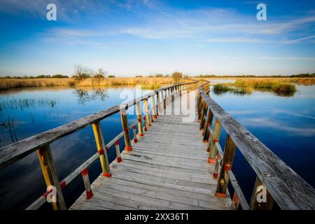 Allées au lever du soleil, Parc National des Tablas de Daimiel, Ciudad Real, Castilla-la Mancha, Espagne, Europe Banque D'Images