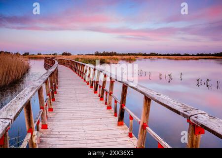 Allées au lever du soleil, Parc National des Tablas de Daimiel, Ciudad Real, Castilla-la Mancha, Espagne, Europe Banque D'Images