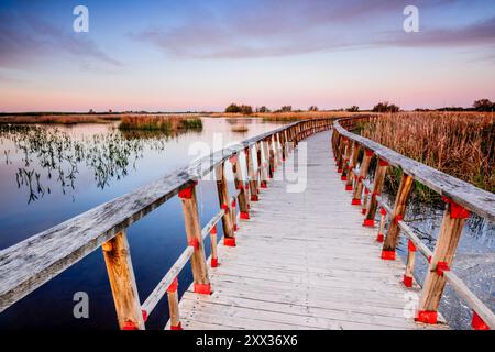 Allées au lever du soleil, Parc National des Tablas de Daimiel, Ciudad Real, Castilla-la Mancha, Espagne, Europe Banque D'Images