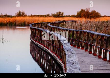 Allées au lever du soleil, Parc National des Tablas de Daimiel, Ciudad Real, Castilla-la Mancha, Espagne, Europe Banque D'Images