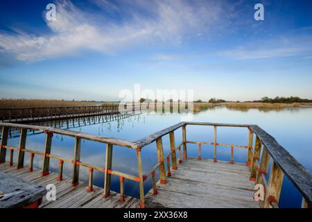 Allées au lever du soleil, Parc National des Tablas de Daimiel, Ciudad Real, Castilla-la Mancha, Espagne, Europe Banque D'Images