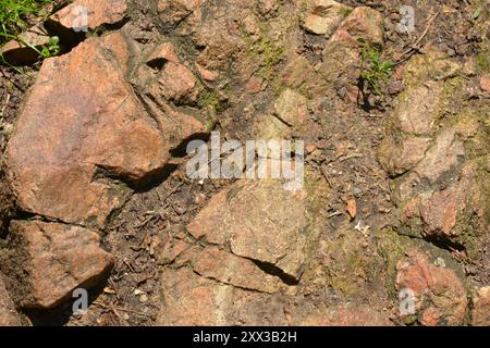 Beaux fonds naturels lumineux et inhabituels faits de grosses pierres avec des fissures profondes, de l'eau, des plantes vertes avec un grincement jaune. Banque D'Images