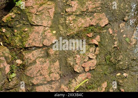Beaux fonds naturels lumineux et inhabituels faits de grosses pierres avec des fissures profondes, de l'eau, des plantes vertes avec un grincement jaune. Banque D'Images